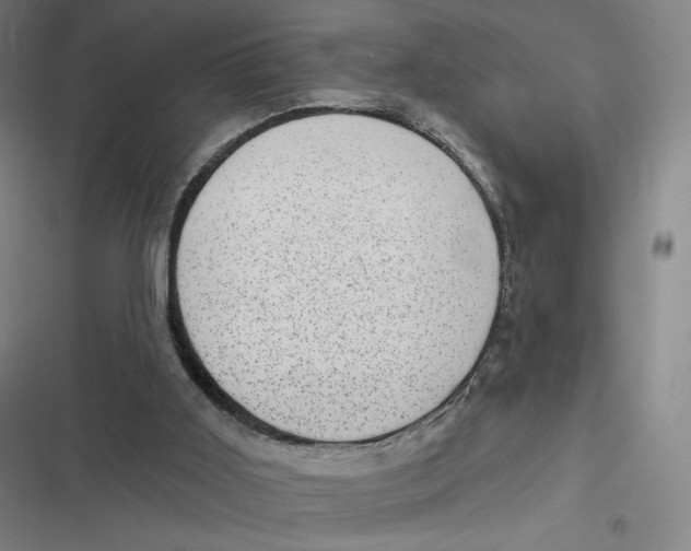 X0000116810011201001081405