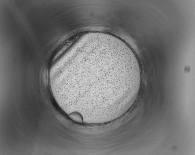 X0000116810013201001081405