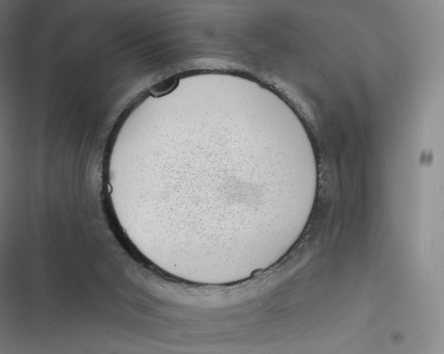 X0000116810015201001081405
