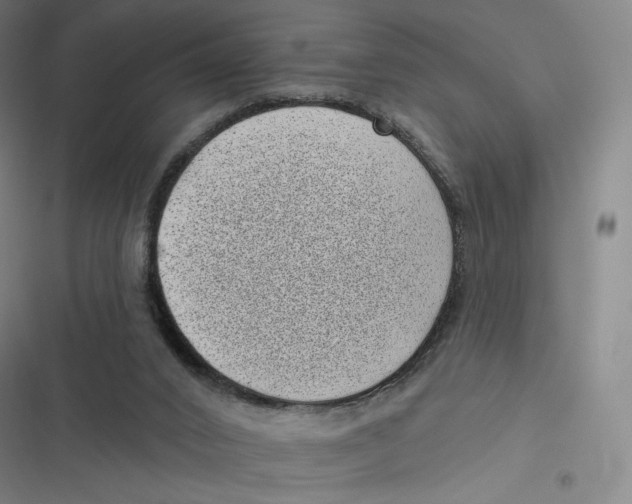 X0000116810016201001081405