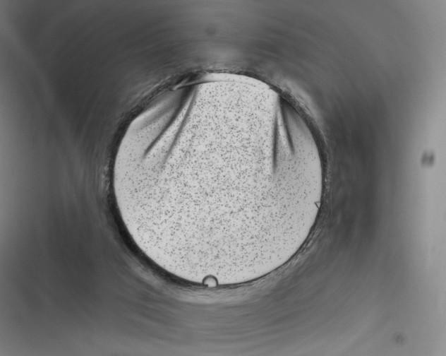 X0000116810017201001081405