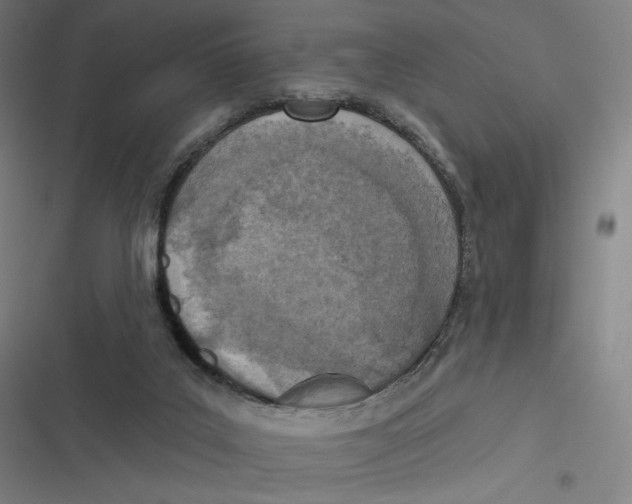 X0000116810019201001081405