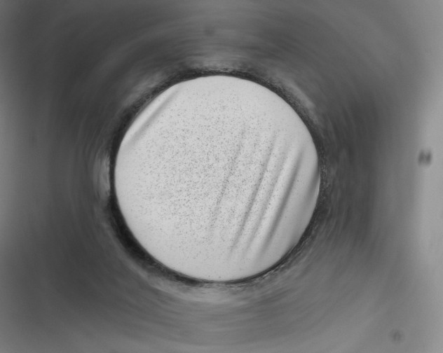 X0000116810020201001081405