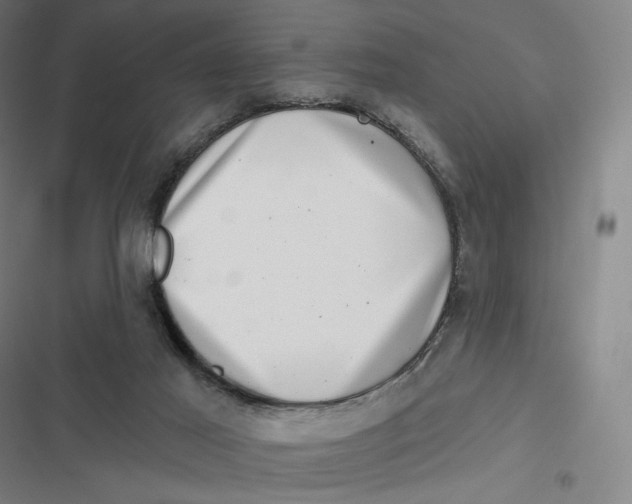 X0000116810021201001081405