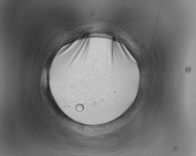 X0000116810022201001081405