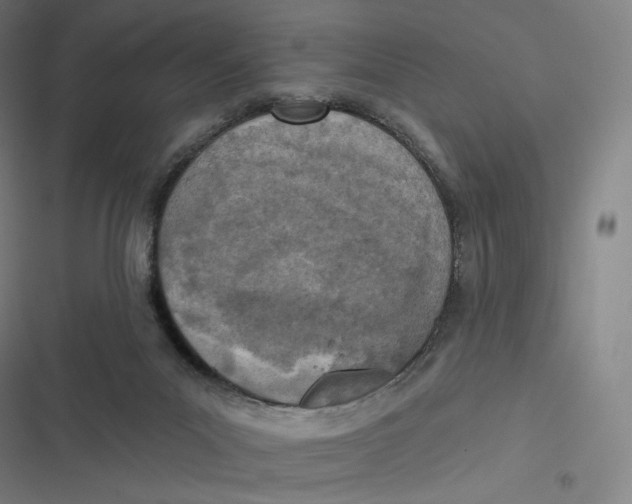 X0000116810023201001081405