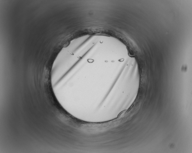 X0000116810025201001081405