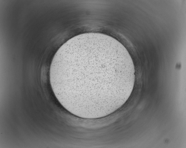 X0000116810026201001081405