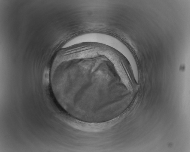 X0000116810027201001081405