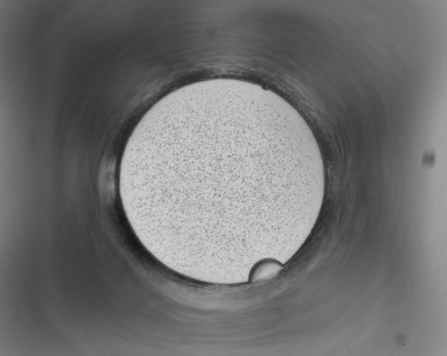 X0000116810028201001081405