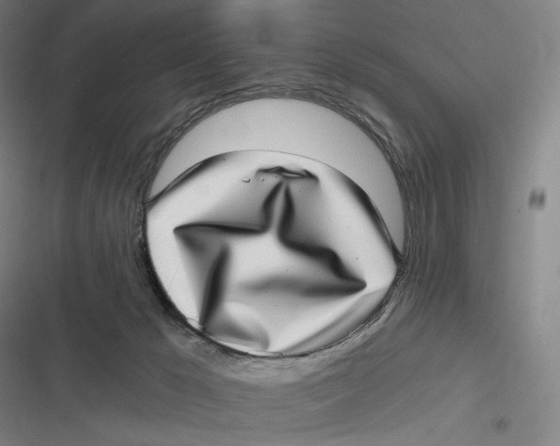 X0000116810029201001081405