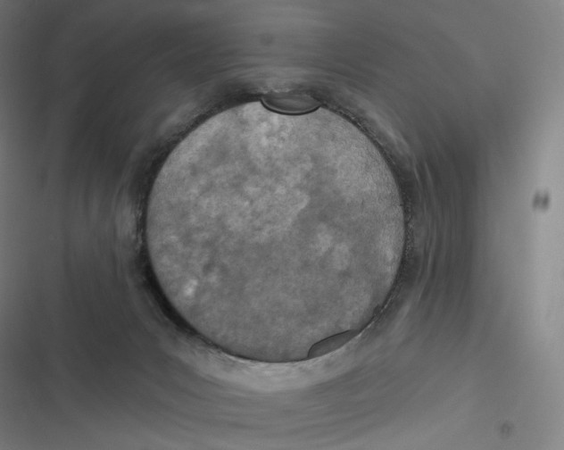 X0000116810031201001081405