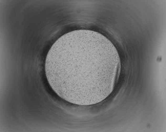 X0000116810032201001081405