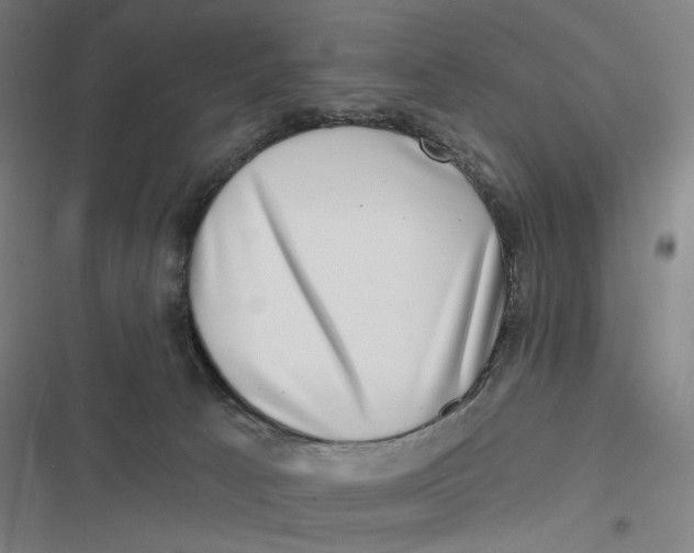 X0000116810033201001081405