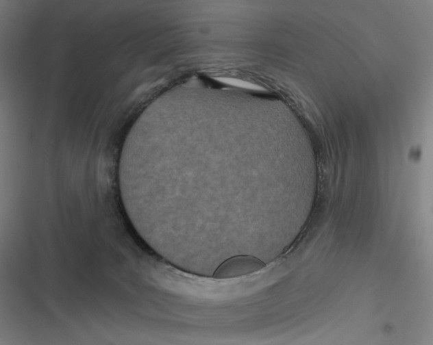 X0000116810035201001081404