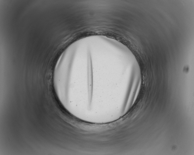 X0000116810036201001081404