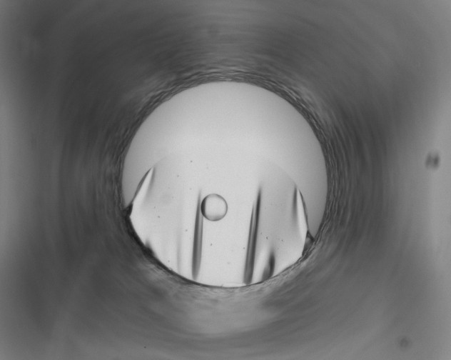 X0000116810037201001081404