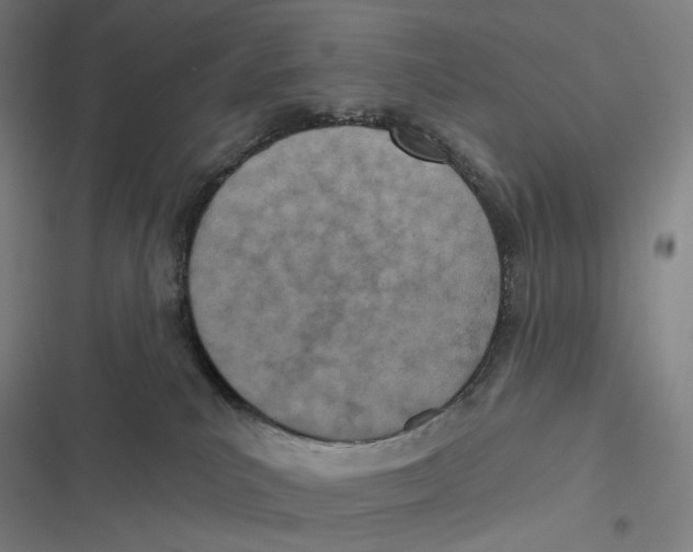 X0000116810039201001081404