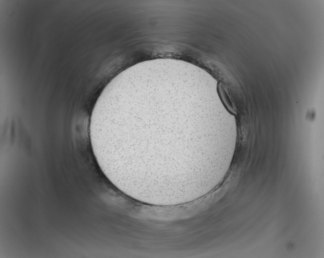 X0000116810041201001081404