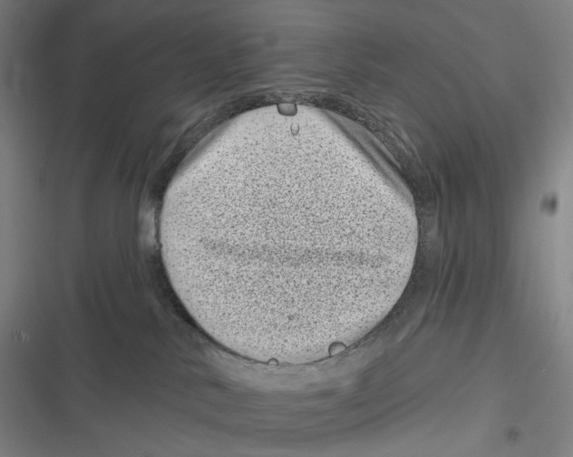 X0000116810042201001081404