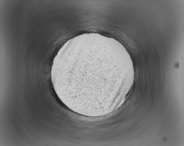 X0000116810043201001081404
