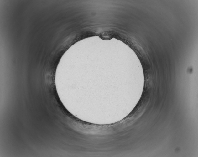 X0000116810044201001081404
