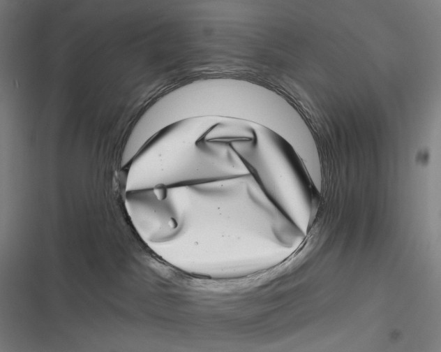 X0000116810045201001081404