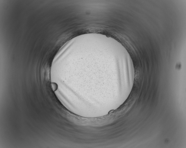 X0000116810046201001081404