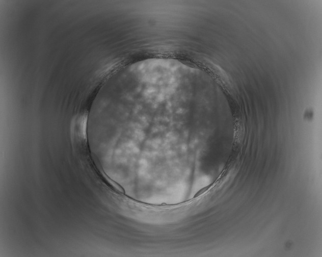 X0000116810047201001081404