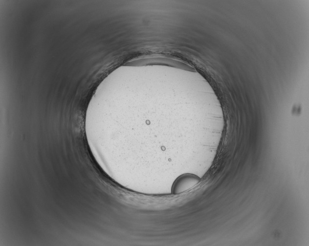 X0000116810048201001081404