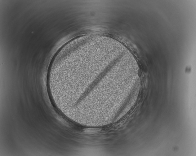 X0000116810051201001081404
