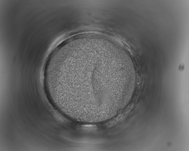 X0000116810053201001081404