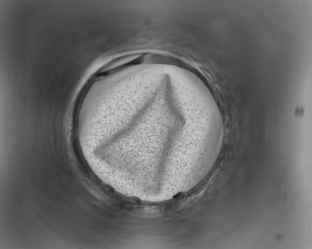 X0000116810056201001081404