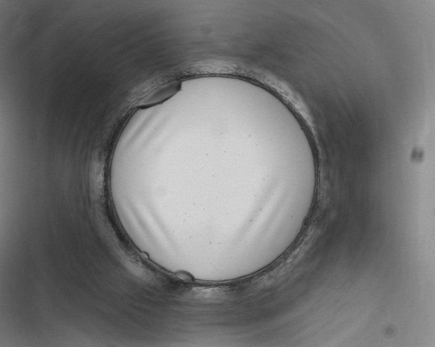 X0000116810057201001081404