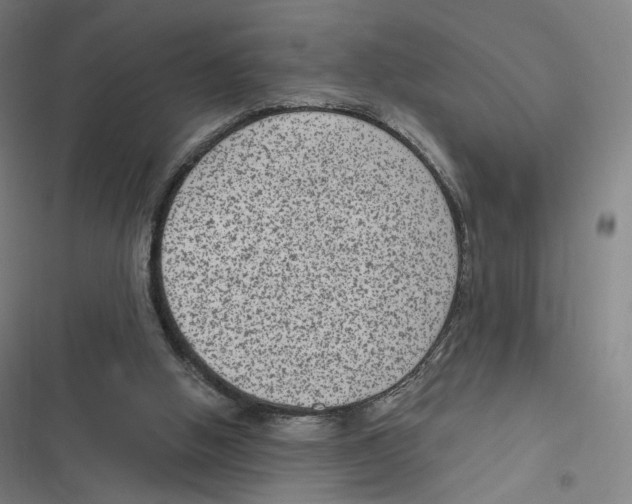 X0000116810058201001081404