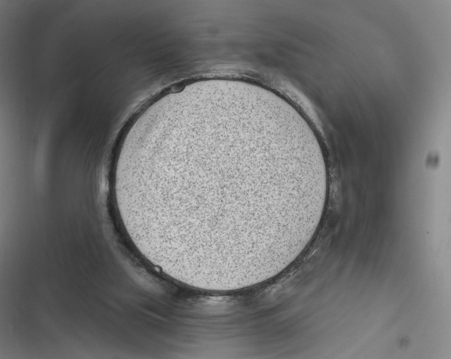 X0000116810059201001081404