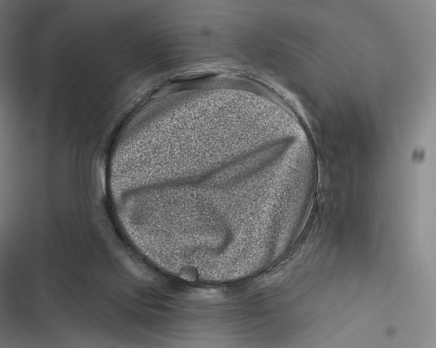 X0000116810061201001081404