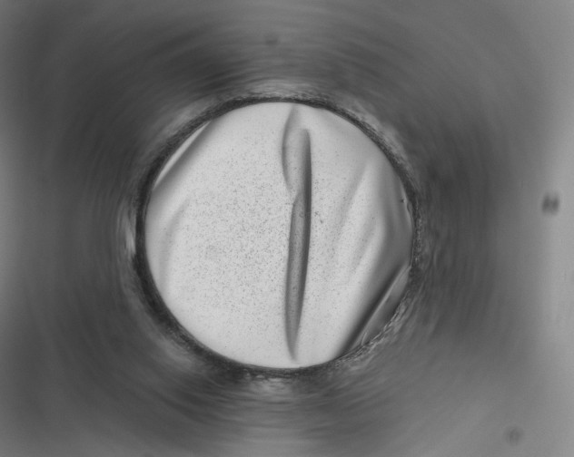 X0000116810062201001081404