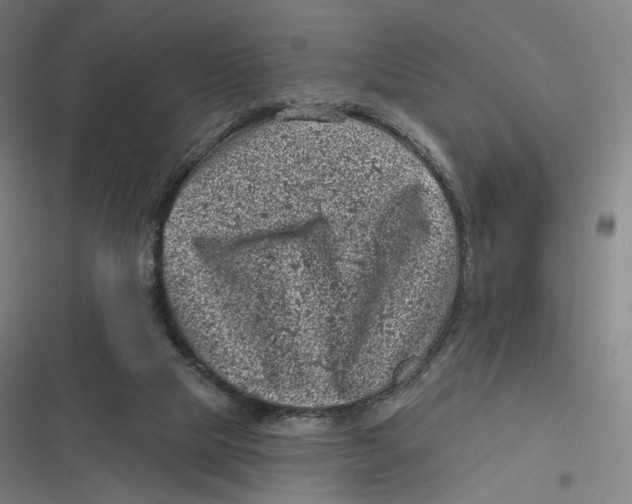 X0000116810065201001081404