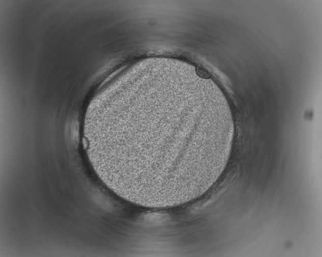 X0000116810067201001081404