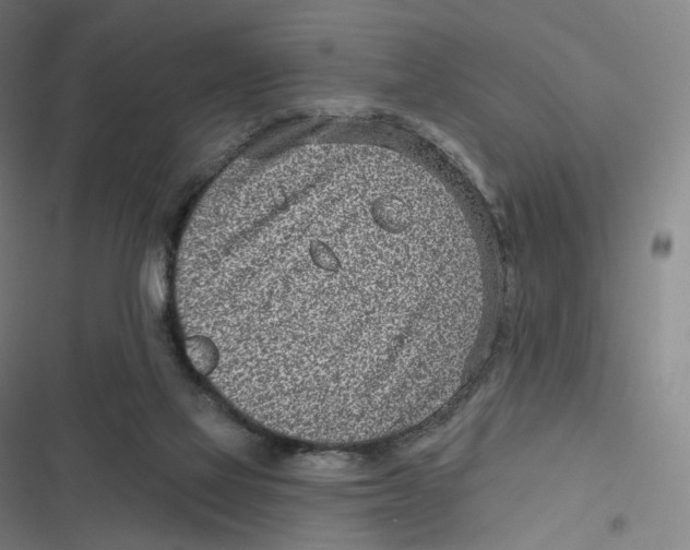 X0000116810069201001081404
