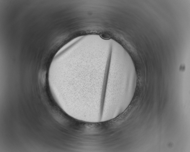 X0000116810070201001081404