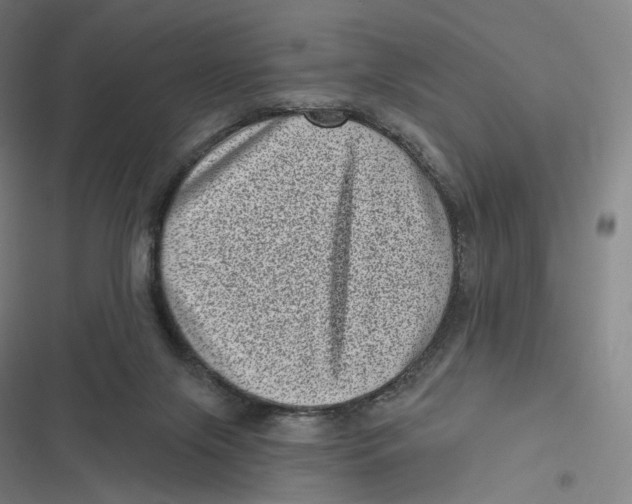 X0000116810071201001081404