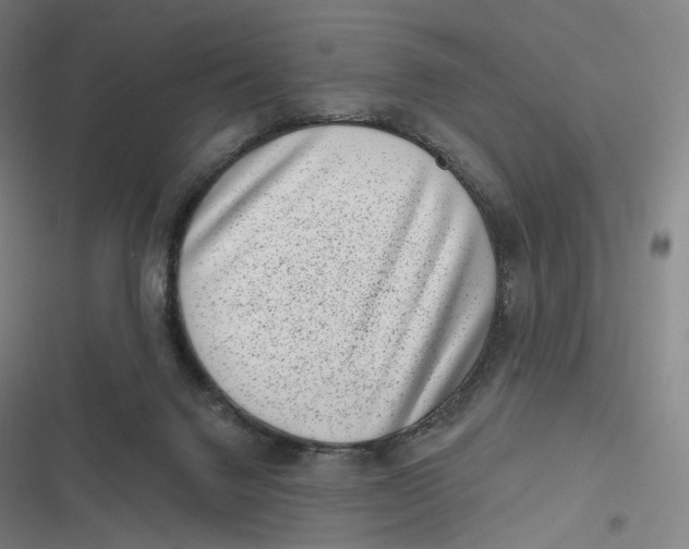 X0000116810072201001081404