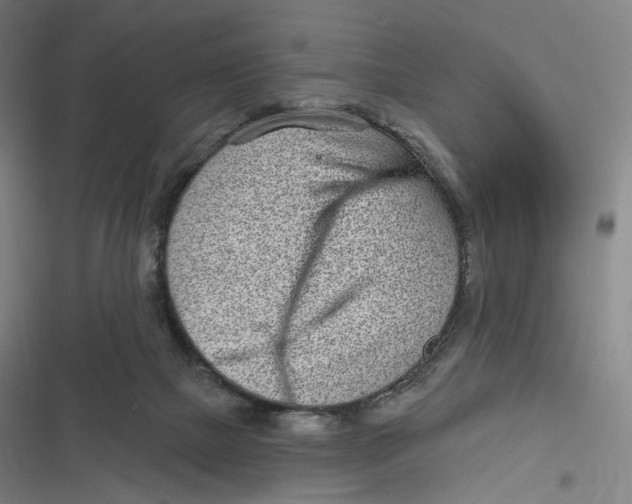 X0000116810073201001081404