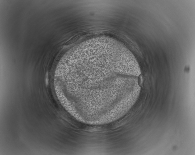 X0000116810075201001081404