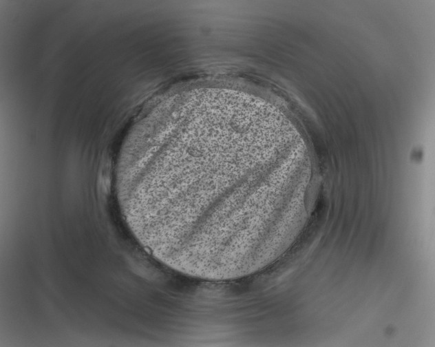 X0000116810076201001081404