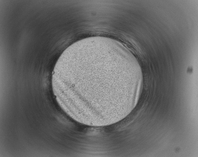 X0000116810077201001081404