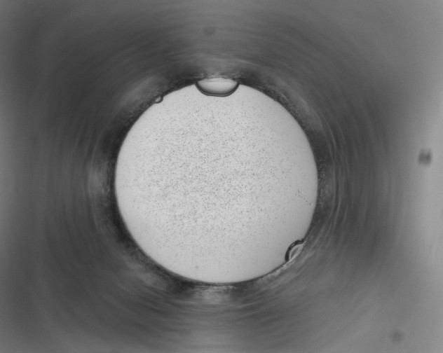 X0000116810078201001081404