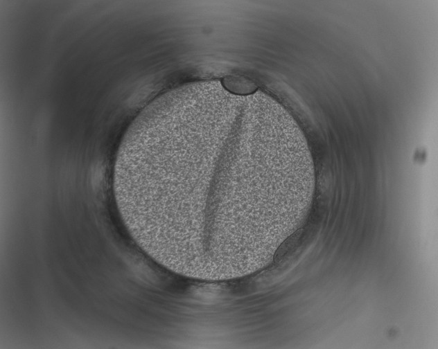 X0000116810079201001081404